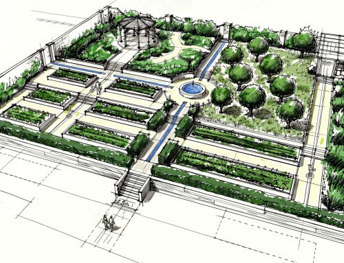 Hope Farm: A Productive Water Garden
